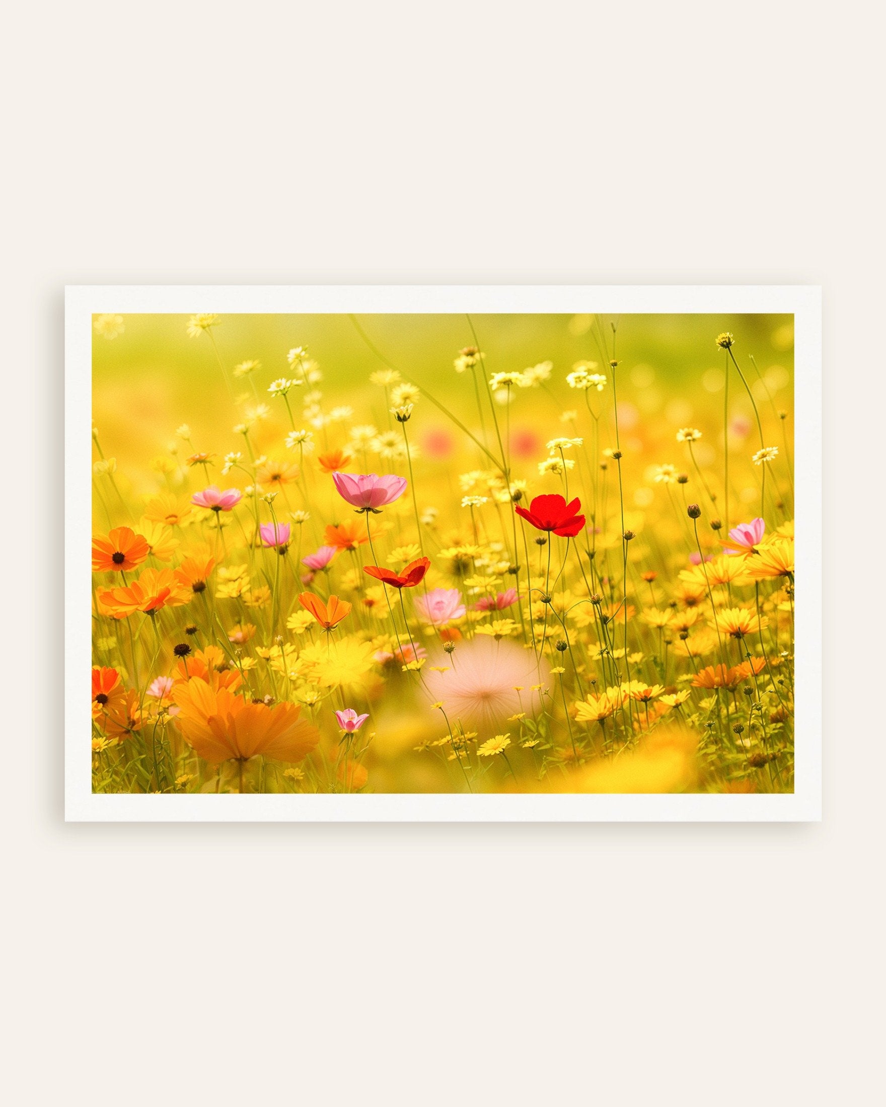 Poster of Summer poster, flowers, thumbnail